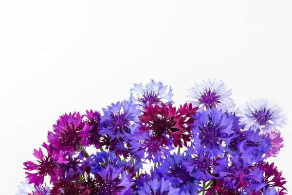 Blauw Violet Korenbloemen Boeket Zomer Bloemen Witte Achtergrond Bloemen Achtergrond — Stockfoto