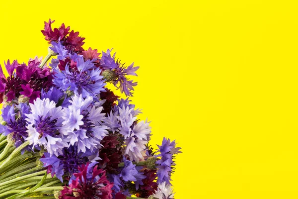 Blauw Violet Korenbloemen Boeket Zomer Bloemen Gele Achtergrond Bloemen Achtergrond — Stockfoto