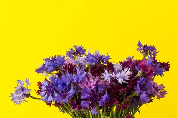 자줏빛 옥수수 꽃다발 노란색 배경의 배경의 가까이 아름다운 옥수수 — 스톡 사진