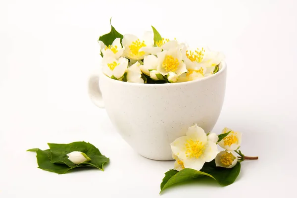 Jasminblüten Mit Einer Tasse Tee Auf Weißem Hintergrund Konzept Der — Stockfoto