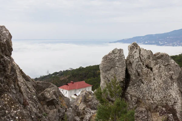 Προβολή Ενός Όμορφου Πολύχρωμου Τεράστιου Βράχου Πεύκα — Φωτογραφία Αρχείου