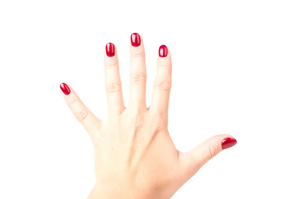 Zbliżenie Rąk Młodej Kobiety Ciemnoczerwonym Manicure Paznokciach Białym Tle — Zdjęcie stockowe