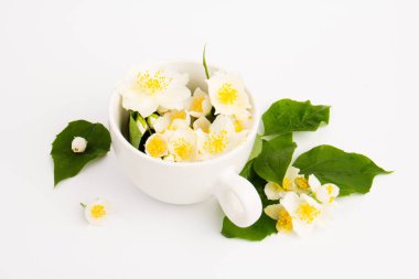 Yasemin çiçekleri beyaz arka planda bir fincan çay. Çay Zamanı Konsepti.