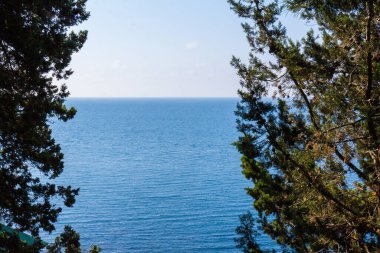 Güzel yaz manzarası ve deniz manzarası. Manzaralı. Çam ormanlarını ve temiz deniz havasını iyileştiriyor. Herkes için en iyi rahatlama. Yeşil ve mavi renkler..
