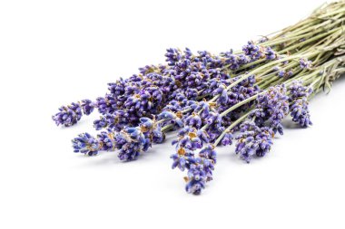 Beyaz arka planda taze lavanta çiçekleri var. Metin için boşluk