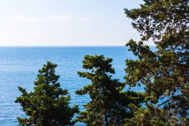 Güzel yaz manzarası ve deniz manzarası. Manzaralı. Çam ormanlarını ve temiz deniz havasını iyileştiriyor. Herkes için en iyi rahatlama. Yeşil ve mavi renkler..