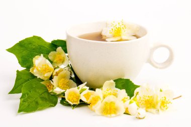 Yasemin çiçekleri beyaz arka planda bir fincan çay. Çay Zamanı Konsepti.