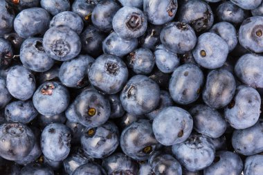 Beyaz arka planda izole edilmiş taze meyveler. Yakın plan.