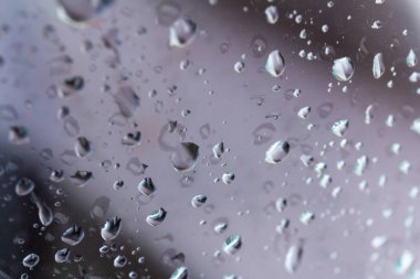 Bardağa konan yağmur damlacıkları