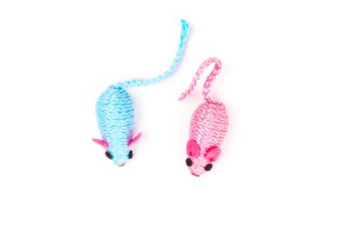 Beyaz arka planda izole edilmiş bir kedi için iki mavi ve pembe oyuncak fare.