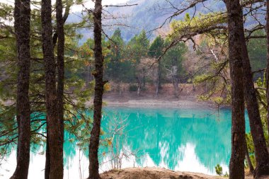 Harika bir doğa manzarası. Kıyıda uzun ağaçların olduğu kozalaklı orman temiz suya yansıyor. Bulutlu mavi gökyüzü. Güzel manzara