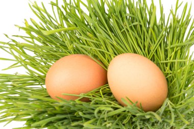 Yeşil çimlerde kahverengi tavuk yumurtaları, beyaz arka planda izole edilmiş. Yakın plan. Paskalya konsepti, metin için boşluk. 