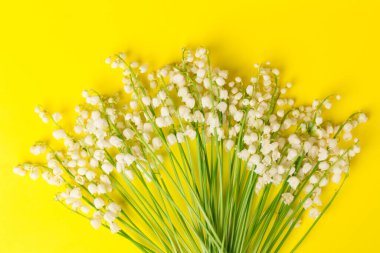 Convallaria majalis (vadideki zambak), zambak çiçeği düğünlerde kullanıldı ve çok pahalı olabilir. Uluslararası İşçi Bayramı 'nda vadi zambağı satmak Fransa' da bir gelenek haline geldi.