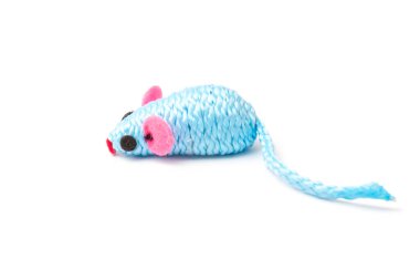 Beyaz arka planda izole edilmiş evcil bir kedi için bir mavi oyuncak fare.