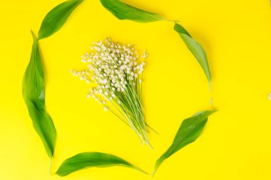 Convallaria majalis (vadideki zambak), zambak çiçeği düğünlerde kullanıldı ve çok pahalı olabilir. Uluslararası İşçi Bayramı 'nda vadi zambağı satmak Fransa' da bir gelenek haline geldi.