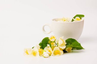 Yasemin çiçekleri beyaz arka planda bir fincan çay. Çay Zamanı Konsepti.
