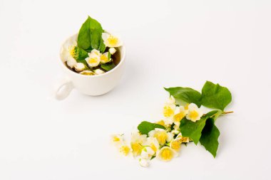 Yasemin çiçekleri beyaz arka planda bir fincan çay. Çay Zamanı Konsepti.