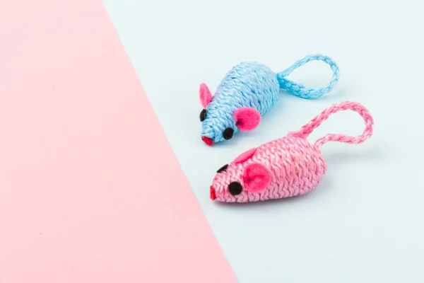 Dos Ratones Juguete Azules Rosados Para Gato Compañía Aislado Sobre — Foto de Stock