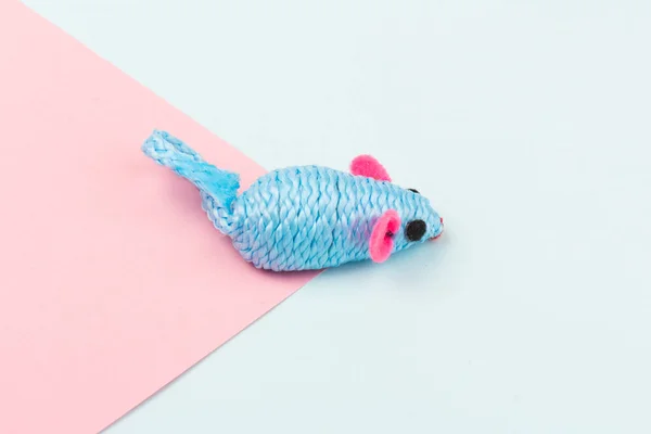 一只蓝色玩具老鼠 为一只被蓝色和粉色背景隔离的宠物猫服务 — 图库照片