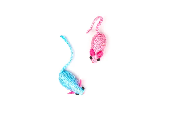 Dois Ratos Brinquedo Azuis Rosa Para Gato Estimação Isolado Fundo — Fotografia de Stock