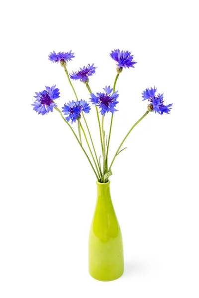 Blauw Violet Korenbloemen Boeket Zomer Bloemen Witte Achtergrond Bloemen Achtergrond — Stockfoto