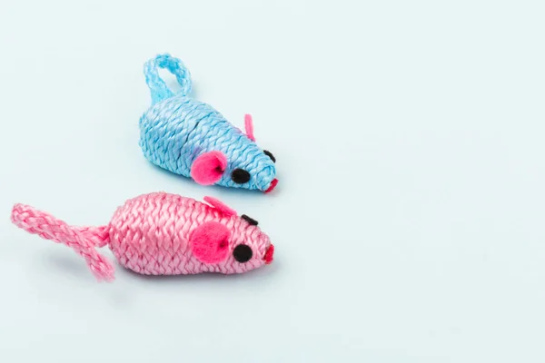 两只蓝色和粉色的玩具老鼠 为一只被蓝色背景隔离的宠物猫 — 图库照片