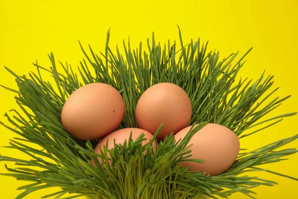 绿草上的褐色鸡蛋 孤立的无名氏背景 复活节概念 文字空间 — 图库照片