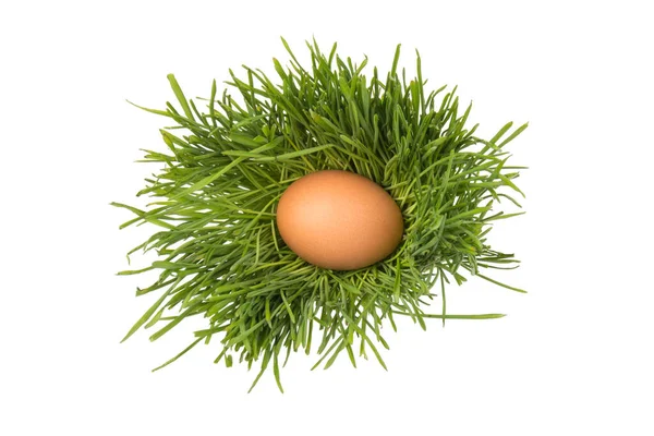 绿色草地上的褐色鸡蛋 白色背景上隔离 复活节概念 文字空间 — 图库照片