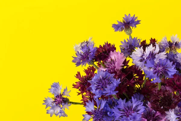 Blauw Violet Korenbloemen Boeket Zomer Bloemen Gele Achtergrond Bloemen Achtergrond — Stockfoto