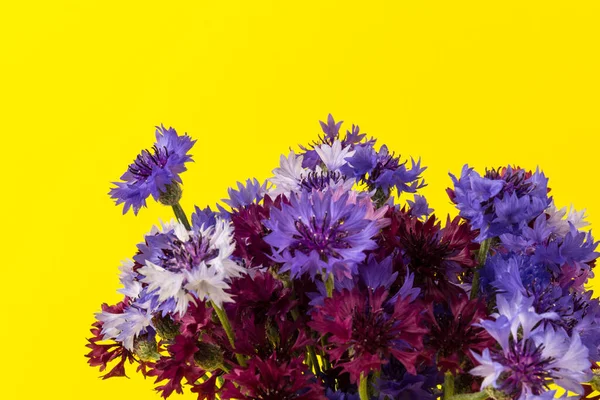 Blauw Violet Korenbloemen Boeket Zomer Bloemen Gele Achtergrond Bloemen Achtergrond — Stockfoto