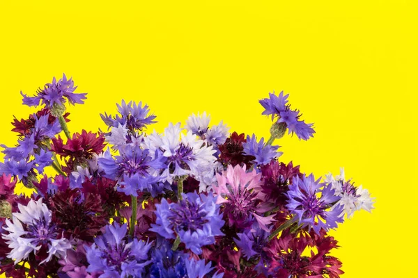 Kék Ibolya Búzavirág Csokor Nyári Virágok Sárga Alapon Virágos Háttér — Stock Fotó