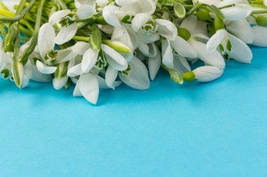 Kar tanesi. Kopyalama alanı ile yakın plan beyaz yaylar. İlkbahar başlangıcı kavramı