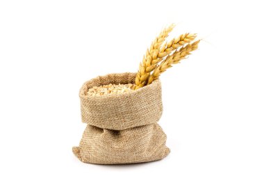 Beyaz arka planda izole edilmiş bir torba içinde buğday ve tahıl. Hasat konsepti