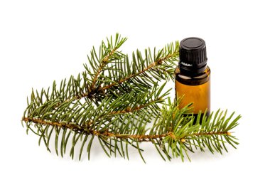 Köknar yağı şişesi, köknar dallarıyla birlikte, beyaz arka planda izole edilmiş.