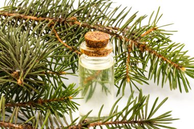 Köknar yağı şişesi, köknar dallarıyla birlikte, beyaz arka planda izole edilmiş.