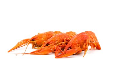 Beyaz arka planda izole edilmiş kırmızı renkli lezzetli, haşlanmış kerevitler..