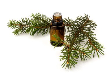 Köknar yağı şişesi, köknar dallarıyla birlikte, beyaz arka planda izole edilmiş.