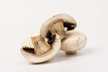 Taze ve çiğ şampiyon mantarı, beyaz başlık mantarı.