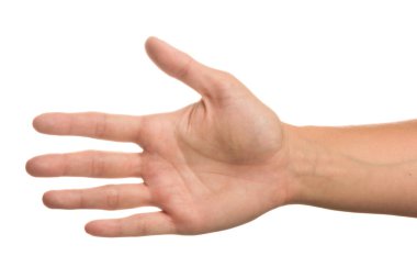 Açık kızın eli beyaz arka planda izole edilmiş. Farklı pozisyonlarda elle yapılan hareketler