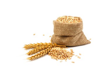 Beyaz arka planda izole edilmiş bir torba içinde buğday ve tahıl. Hasat konsepti
