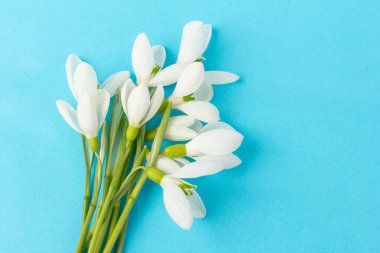 Kar tanesi. Kopyalama alanı ile yakın plan beyaz yaylar. İlkbahar başlangıcı kavramı