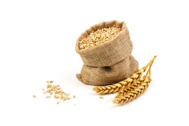 Beyaz arka planda izole edilmiş bir torba içinde buğday ve tahıl. Hasat konsepti