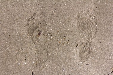 Sahildeki suyun yakınındaki kumda insan ayağının ayak izleri.