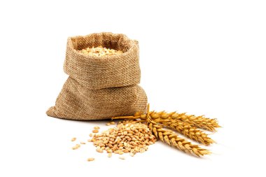Beyaz arka planda izole edilmiş bir torba içinde buğday ve tahıl. Hasat konsepti