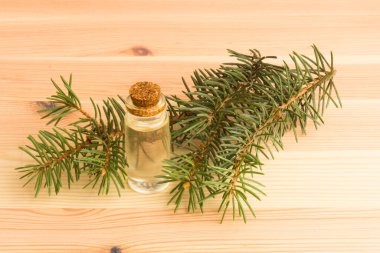 Tahta bir masanın üzerinde köknar dalları olan bir şişe köknar yağı.