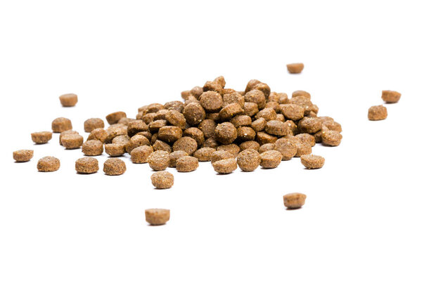Кошачья еда. Сухой коричневый корм для кошек разбросан на белом фоне крупным планом