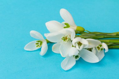 Kar tanesi. Kopyalama alanı ile yakın plan beyaz yaylar. İlkbahar başlangıcı kavramı