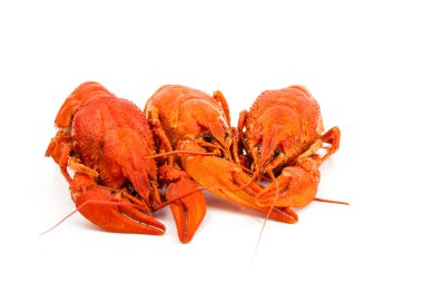 Beyaz arka planda izole edilmiş kırmızı renkli lezzetli, haşlanmış kerevitler..