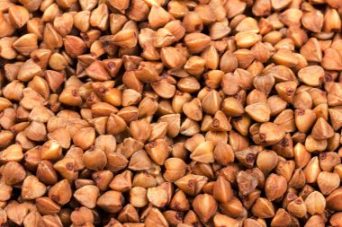 Karabuğday yetişiyor. Bir sürü karabuğday tanesi, dağılmış, yakın plan beyaz arka planda izole edilmiş.