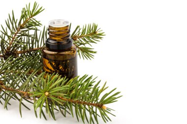 Köknar yağı şişesi, köknar dallarıyla birlikte, beyaz arka planda izole edilmiş.